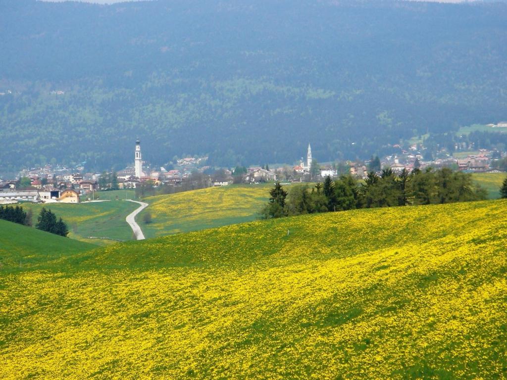 Hotel Da Barba B&B Asiago Exteriör bild