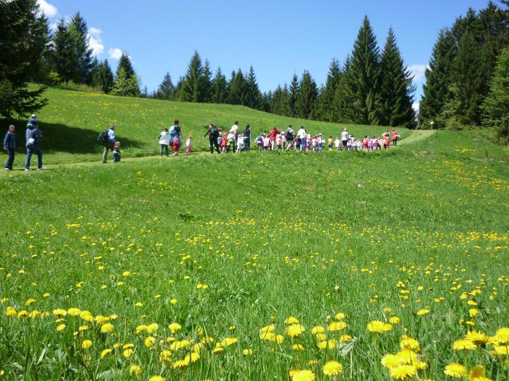 Hotel Da Barba B&B Asiago Exteriör bild
