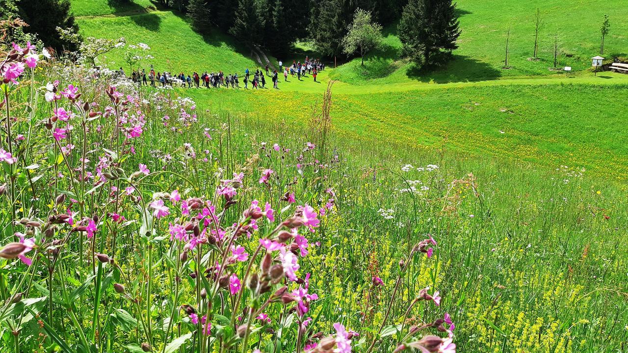 Hotel Da Barba B&B Asiago Exteriör bild